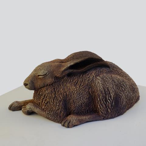 a sleeping hare