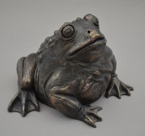 a toad