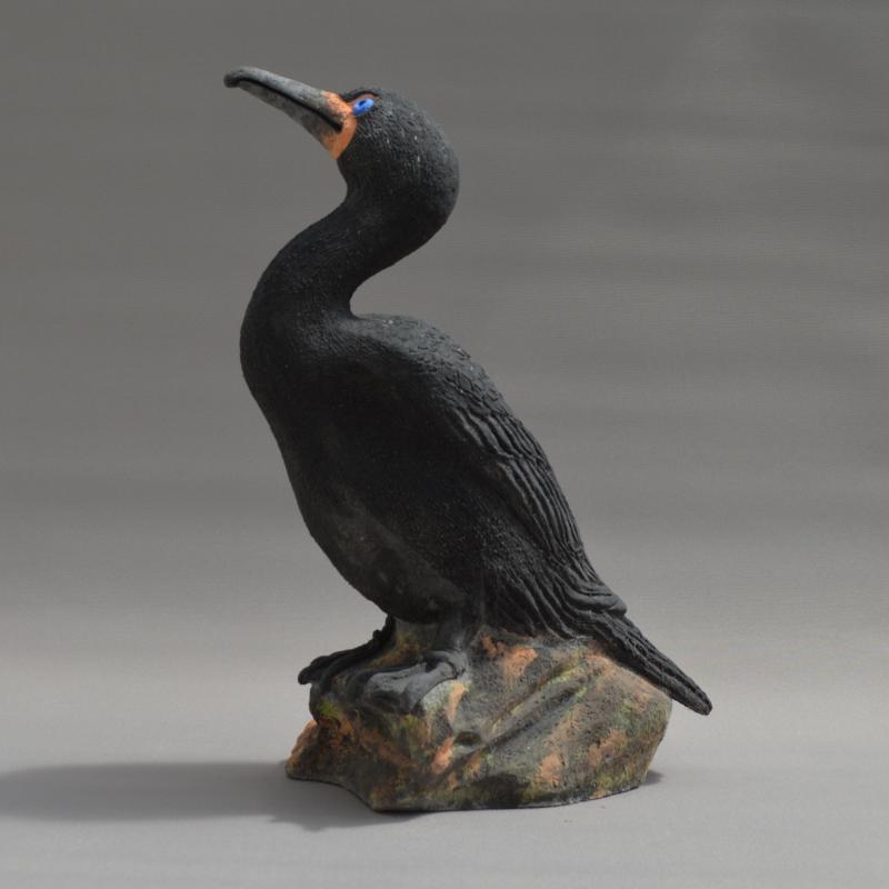 cormorant