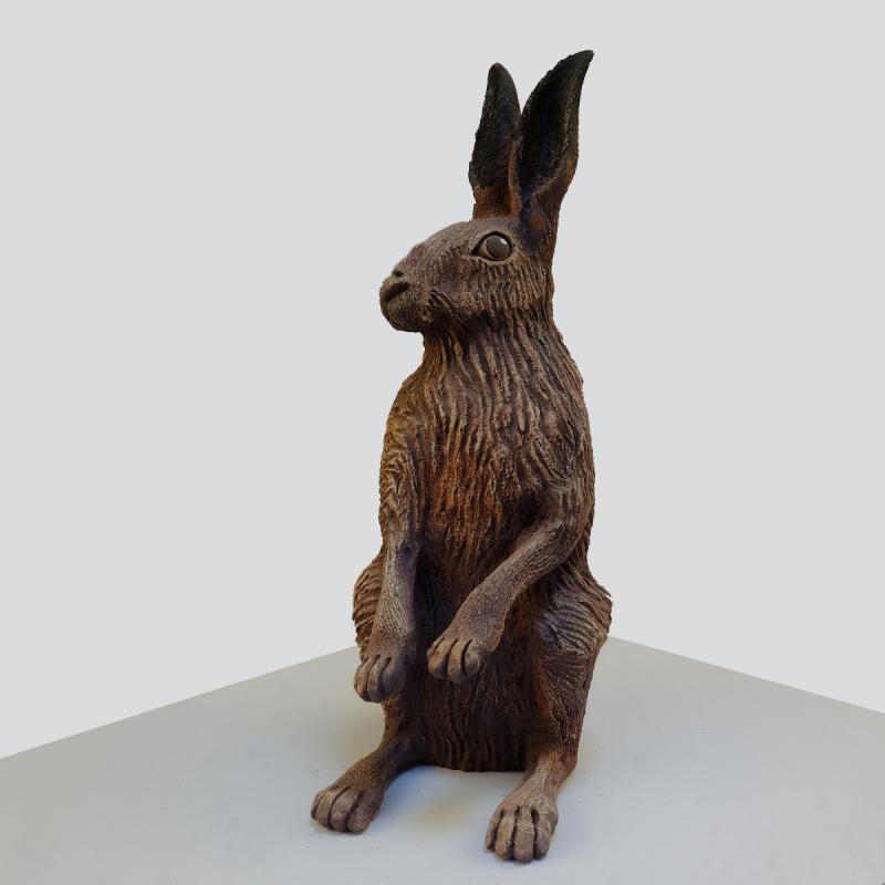 a sitting hare