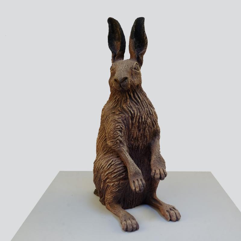 a sitting hare